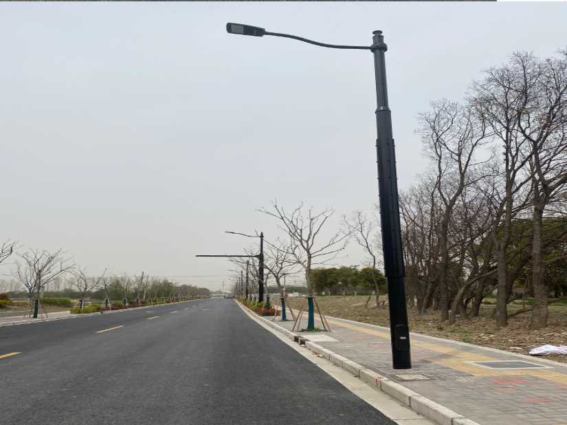 博兴县上海综合杆 太阳能路灯工程